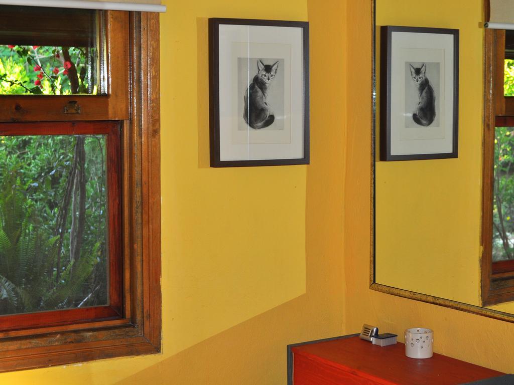 Hobbit Evi Cirali Room photo